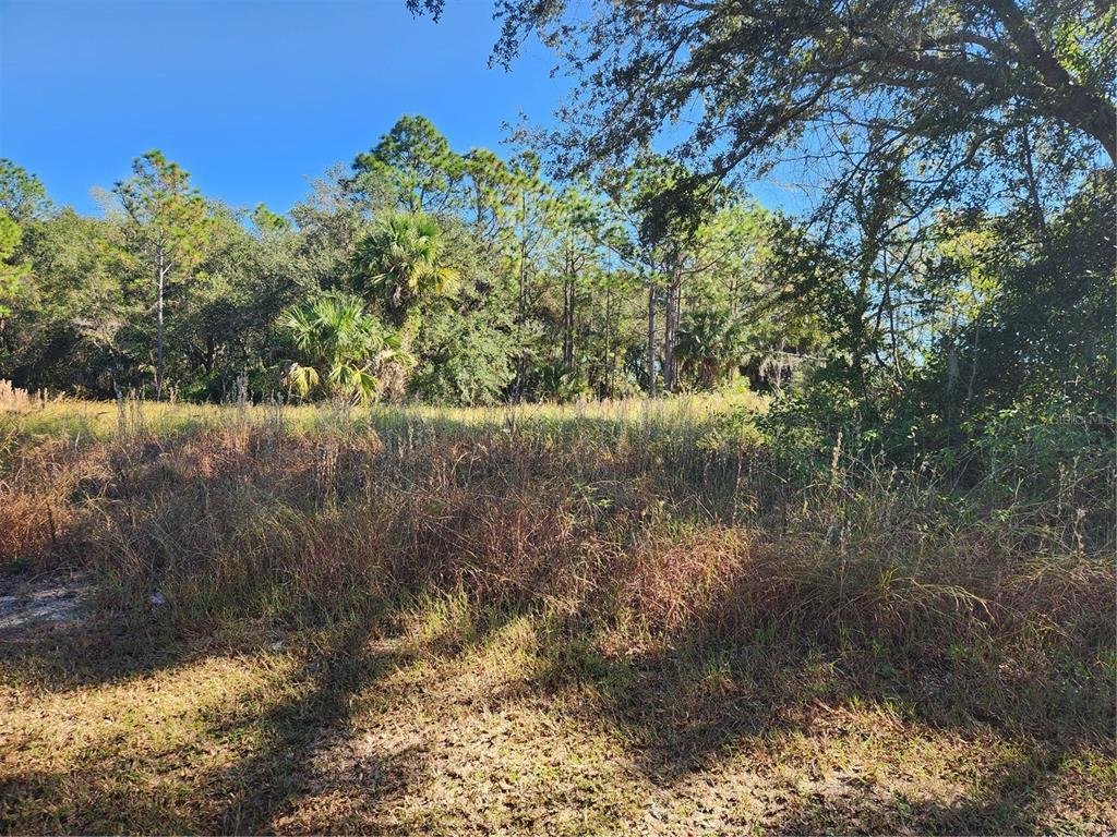 Land in Longwood, Florida, United States 4 - 13551841