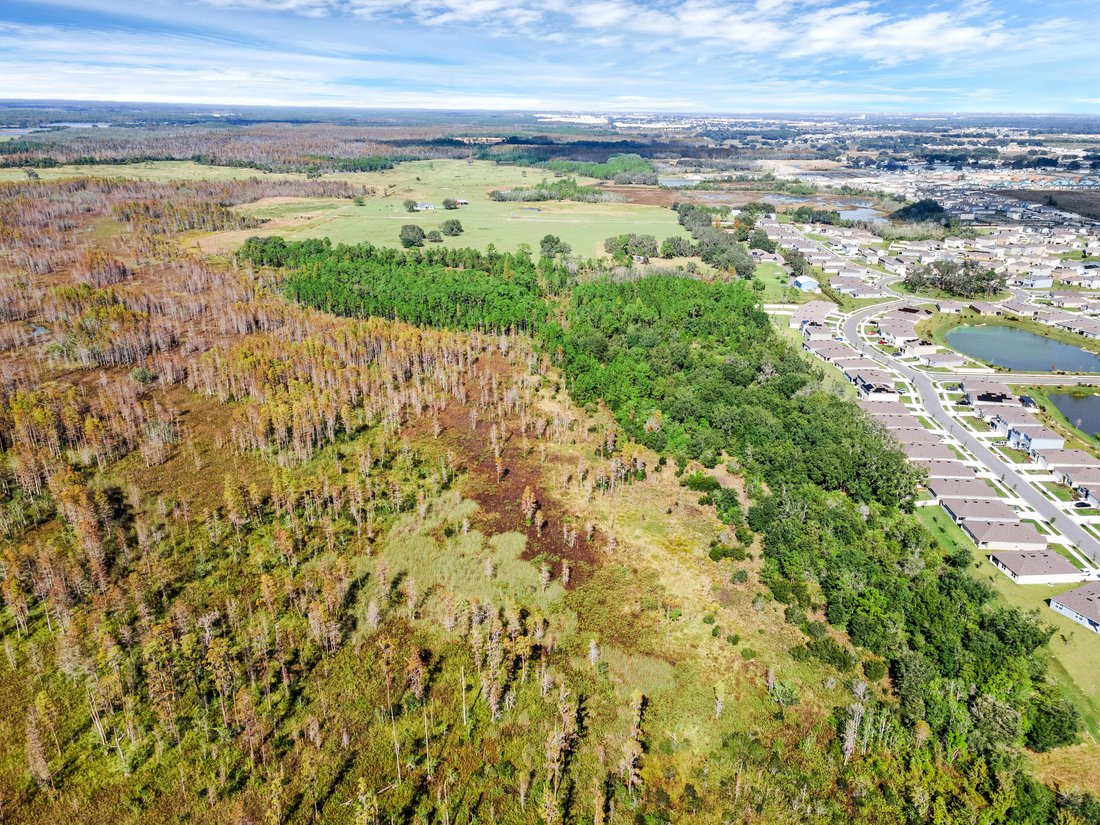 Vacant Land In Davenport, Florida, United States For Sale (13552309)