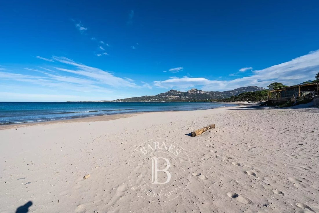 Exclusivity Calvi, 6 Bedroom Villa, Swimming Pool, In Calvi, Corsica