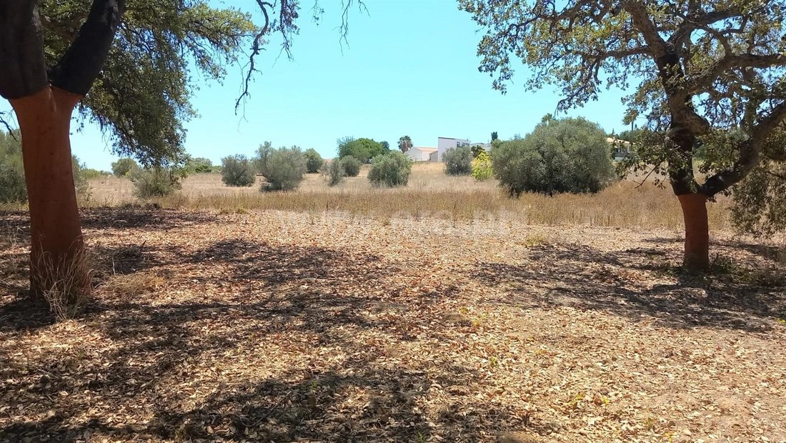 Land in Almancil, Algarve, Portugal 4 - 13554757