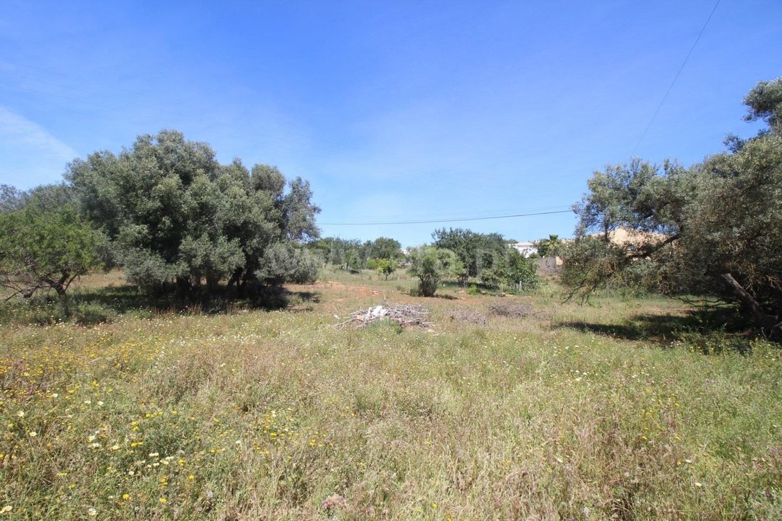 Land in Almancil, Algarve, Portugal 4 - 13554754