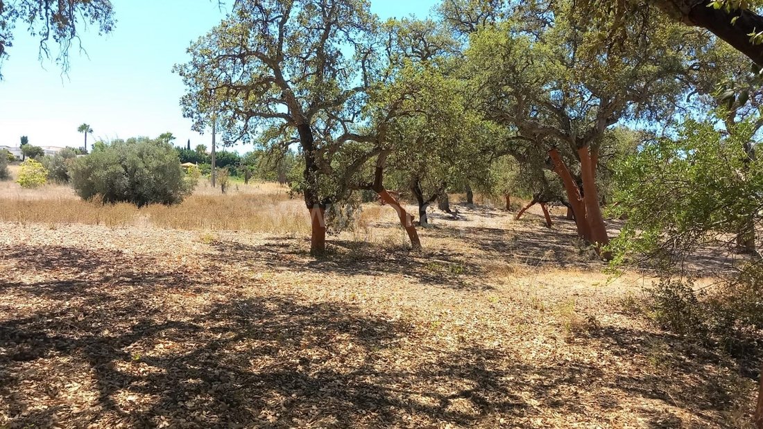 Land in Almancil, Algarve, Portugal 1 - 13554757