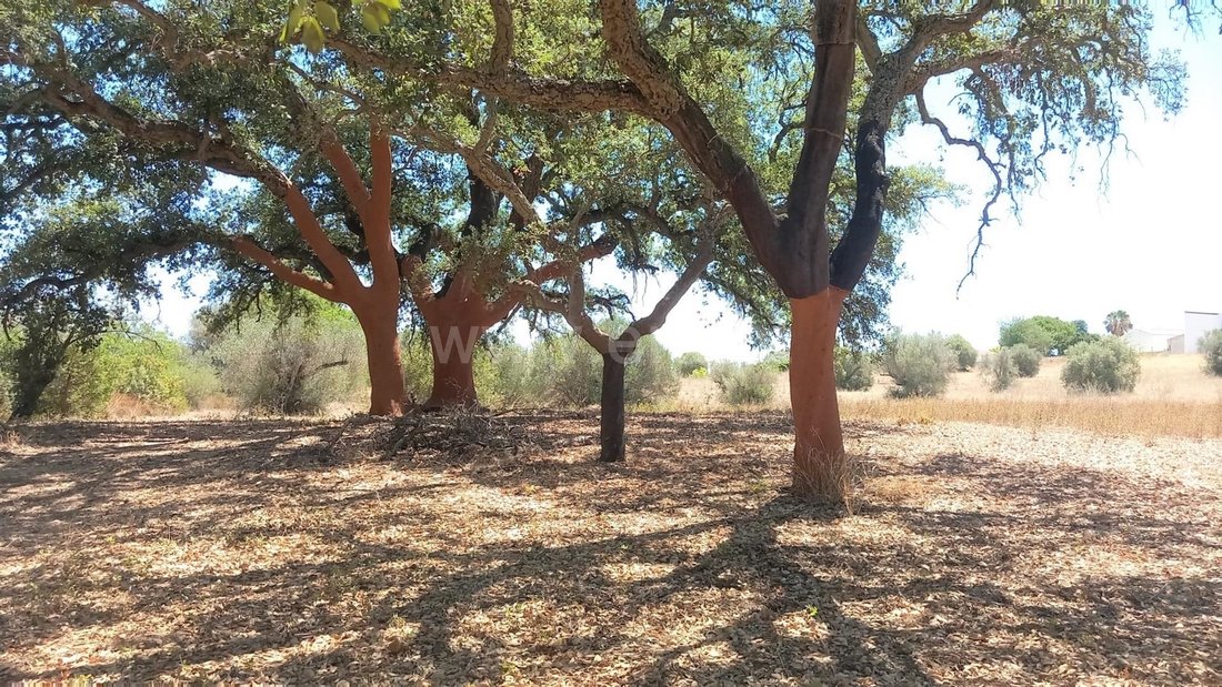 Land in Almancil, Algarve, Portugal 3 - 13554757