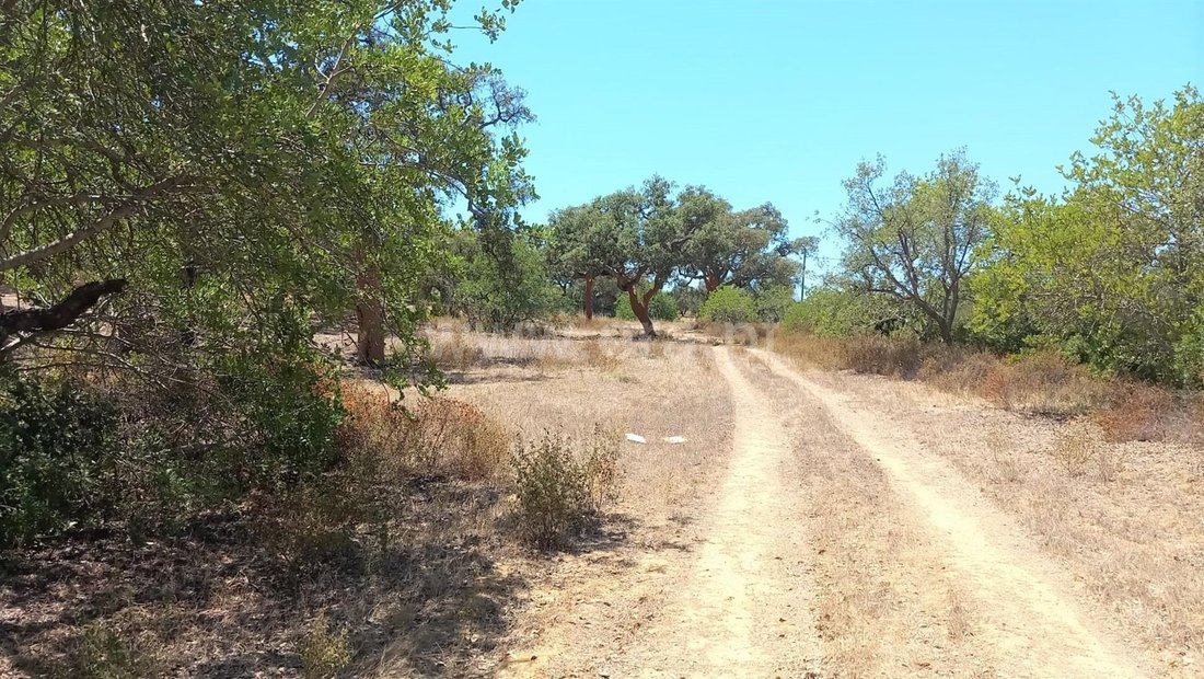 Land in Almancil, Algarve, Portugal 2 - 13554757