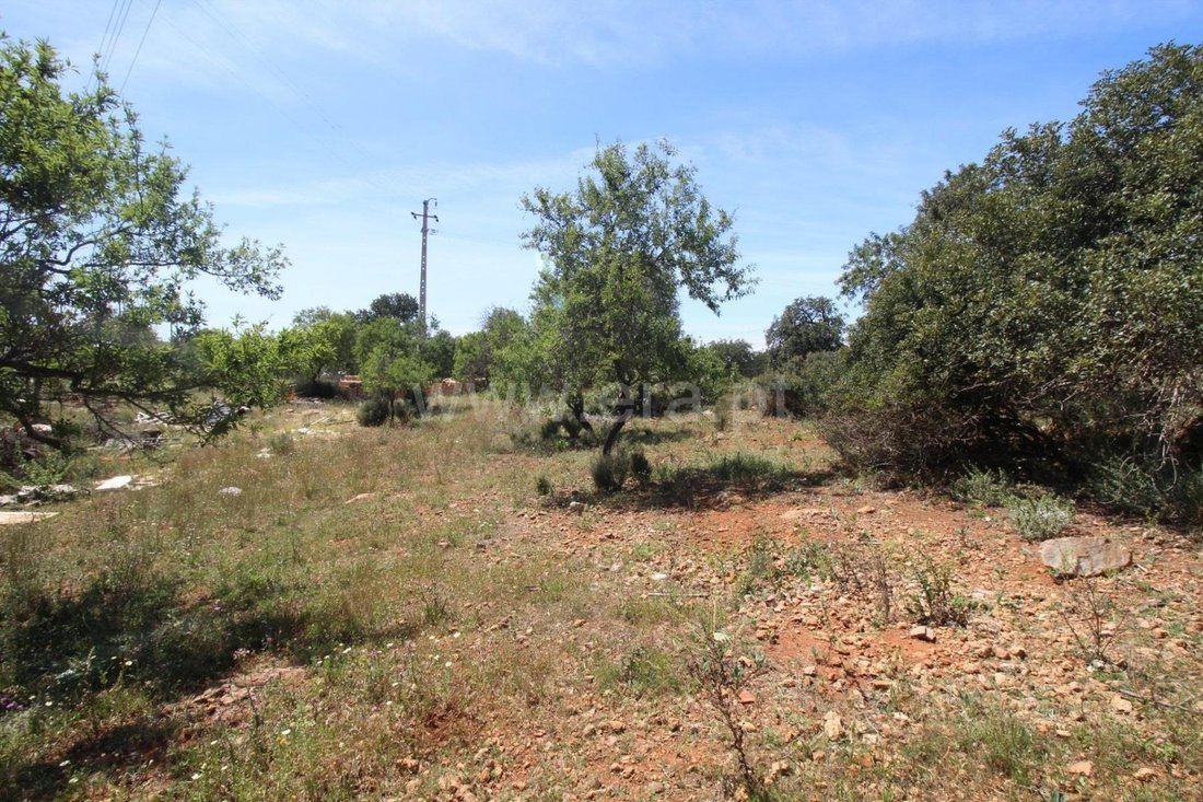 Land in Almancil, Algarve, Portugal 2 - 13554754