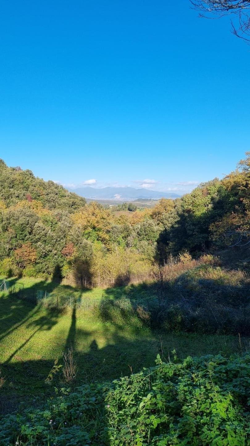 Country House in Colognole, Collesalvetti, Tuscany 3 - 13556857