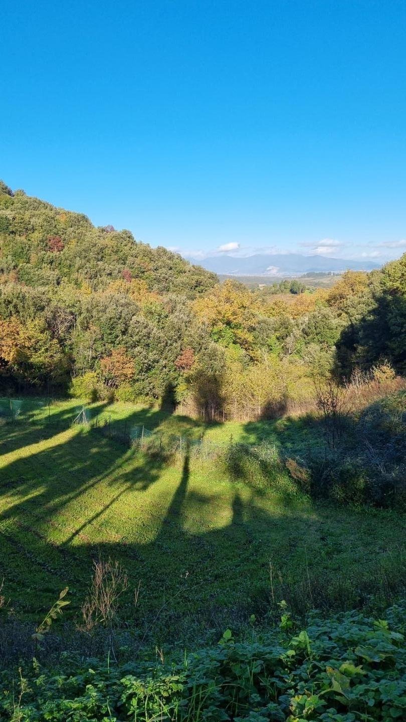 Country House in Colognole, Collesalvetti, Tuscany 5 - 13556857
