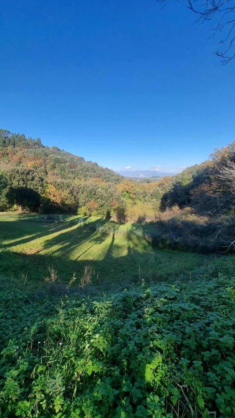 Country House in Colognole, Collesalvetti, Tuscany 4 - 13556857