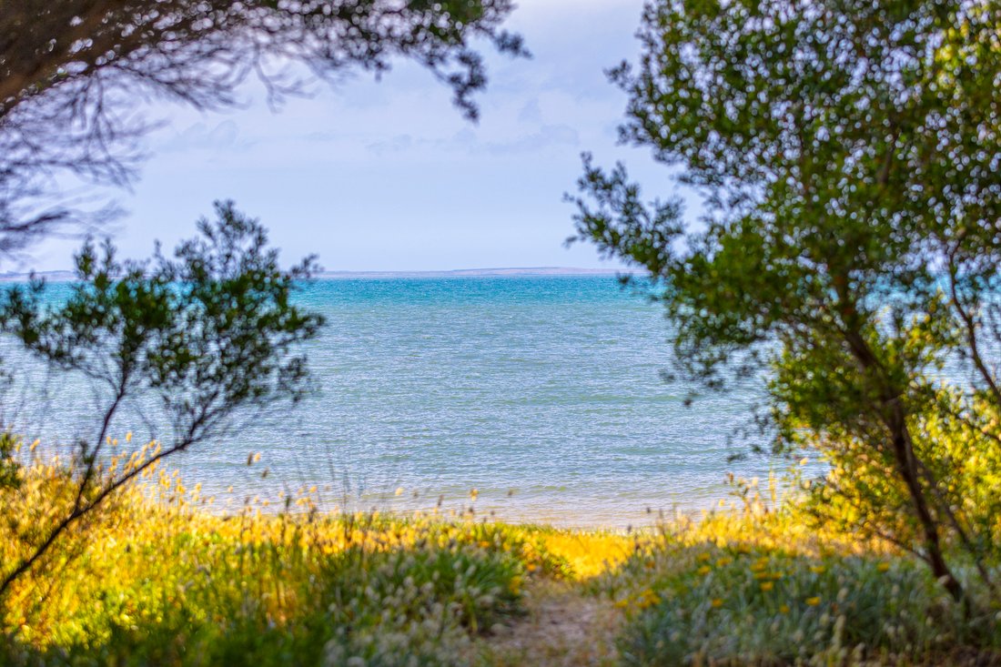 16 Hansens Lane, Balnarring Beach In Balnarring Beach, Victoria, Australia For Sale (13562973)