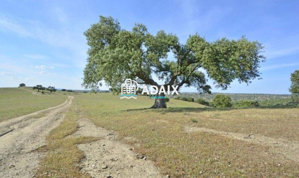 Se Alquila Impresionante Dúplex En El Puro In Talaván, Extremadura