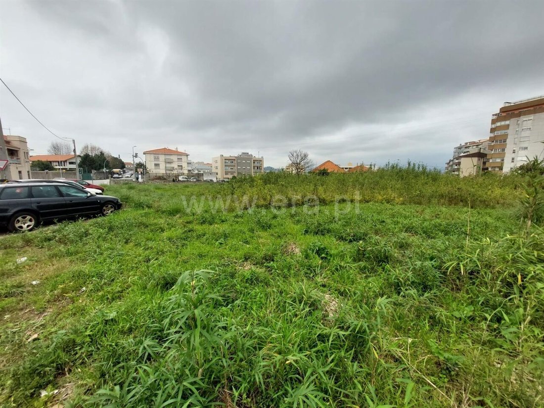 Land in Oliveira do Douro, Porto District, Portugal 3 - 13546956