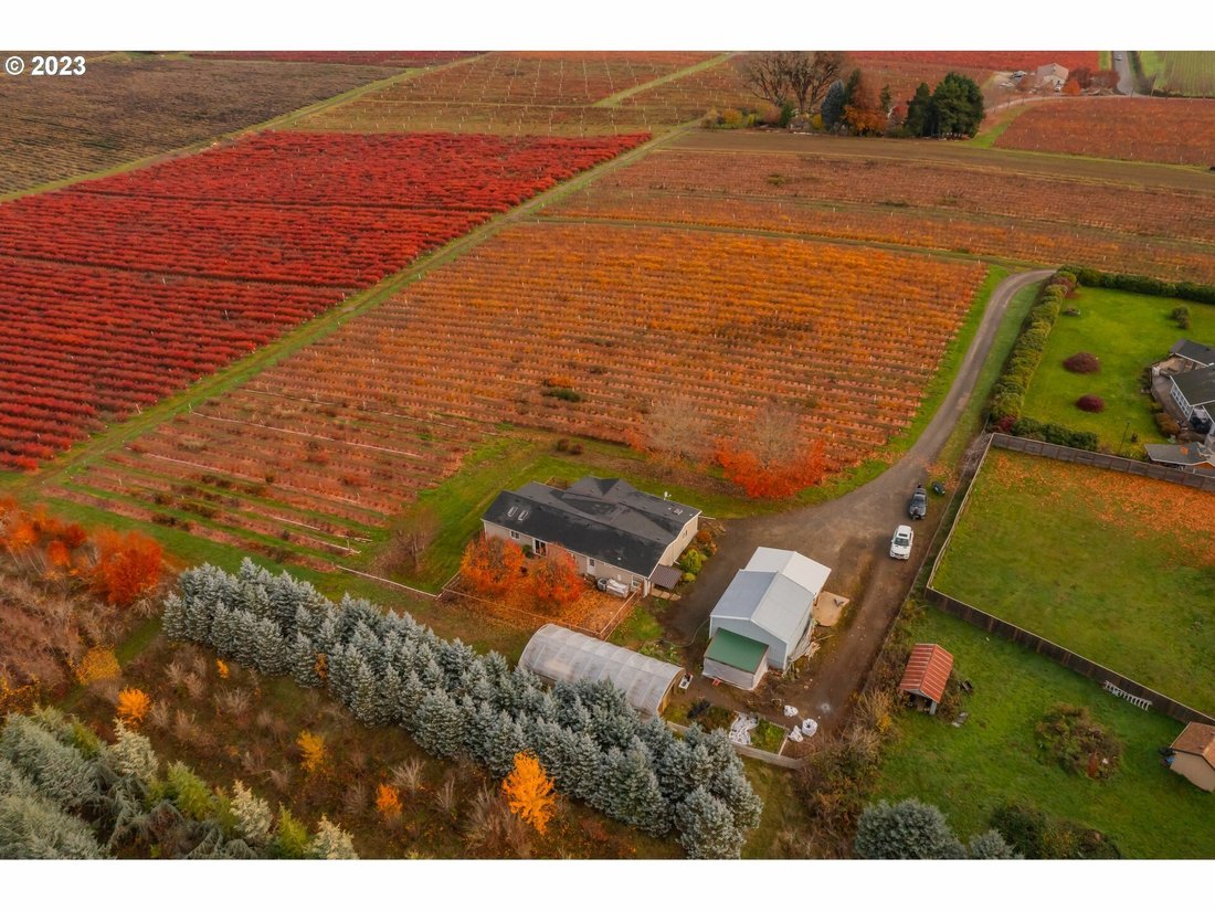 Thriving Farm With Mountain Vistas And In Forest Grove, Oregon, United