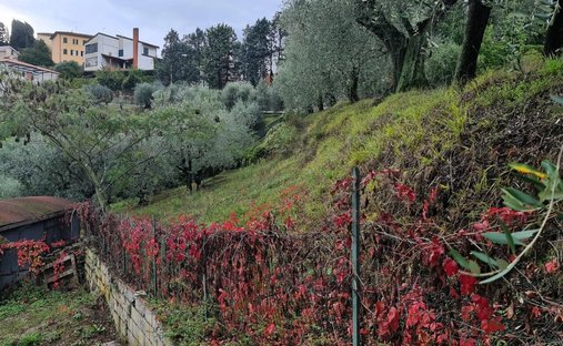 House in San Miniato, Tuscany, Italy 1