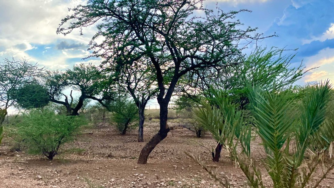 Plot In For Sale Brakwater In Windhoek, Khomas Region, Namibia For Sale