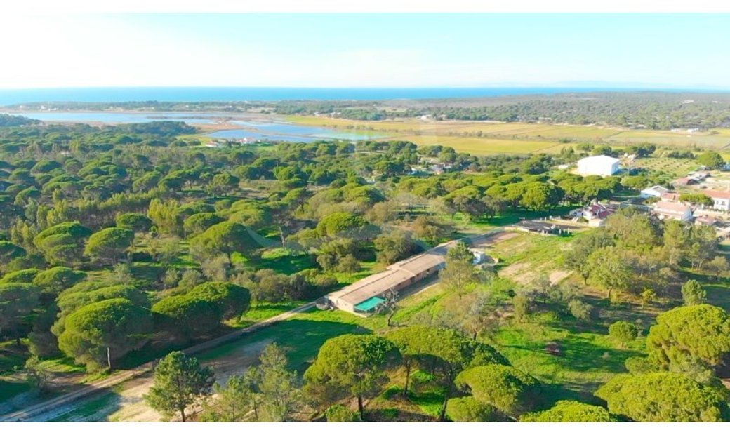  Investment Plot Of Land In Melides In Melides, Setubal, Portugal