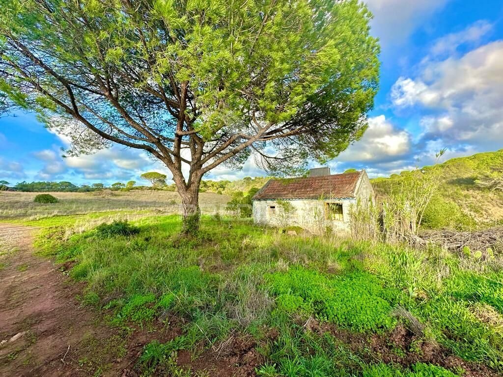 Land in Grandola e Santa Margarida da Serra, Setubal, Portugal 4 - 13565434