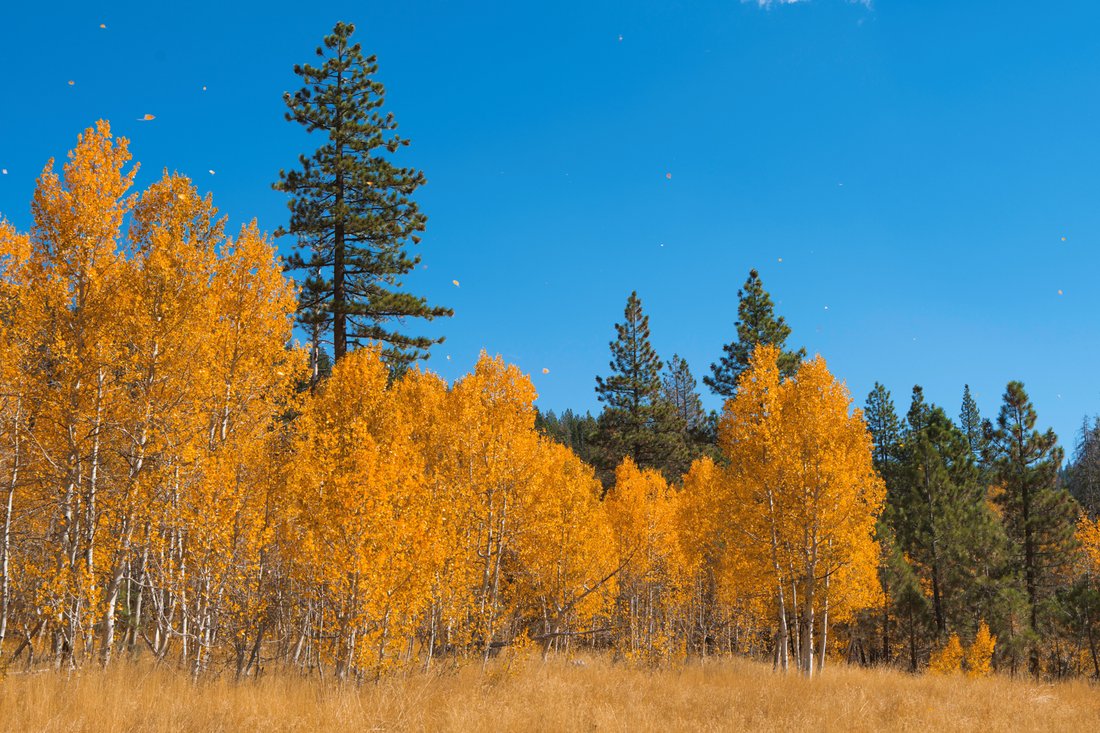 Land in Truckee, California, United States 5 - 13563320