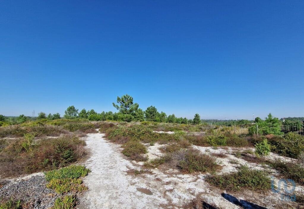 Land in Fernao Ferro, Setubal, Portugal 4 - 13567521