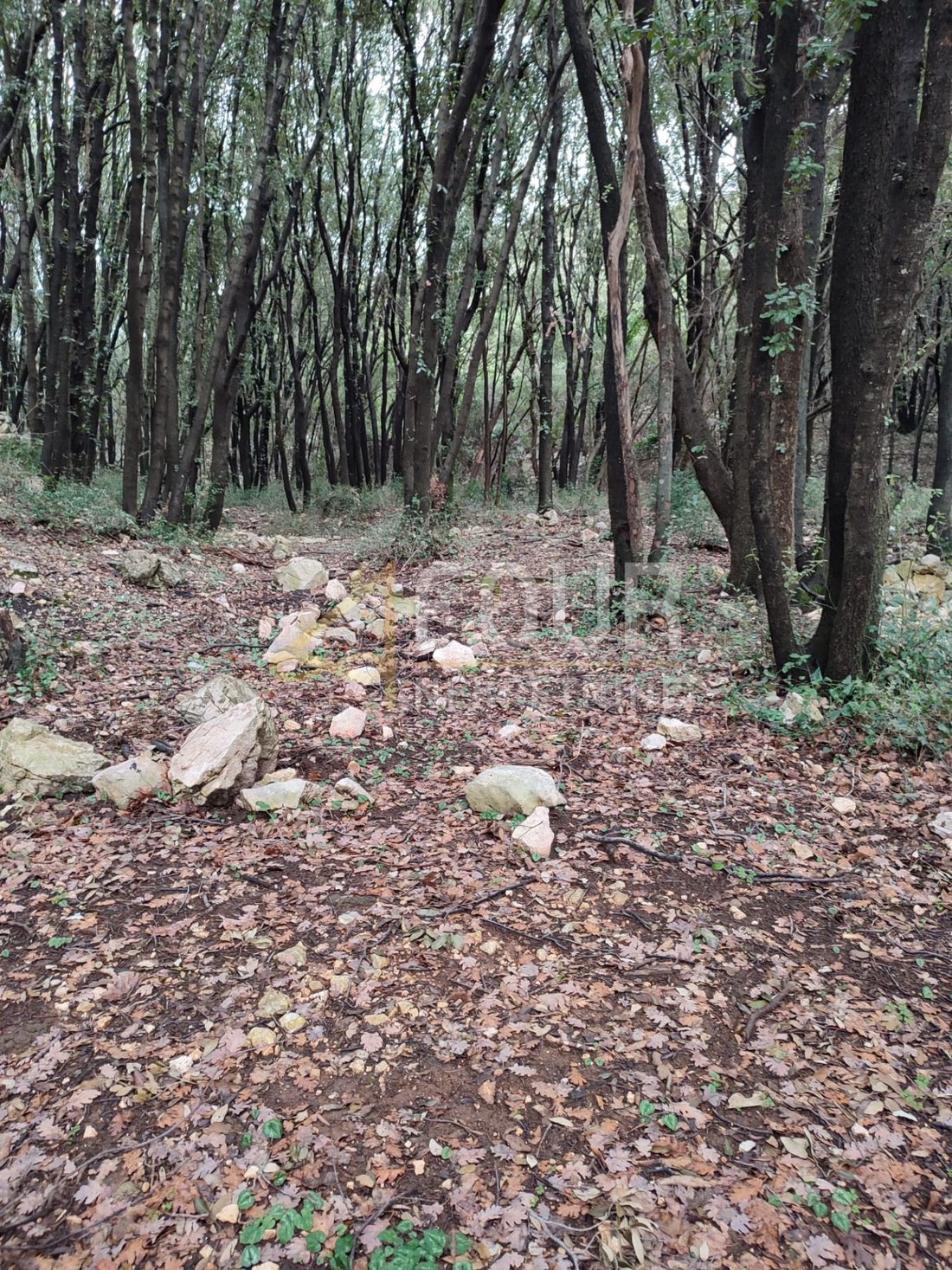 Land in Vrh, Primorje-Gorski Kotar County, Croatia 4 - 13565472