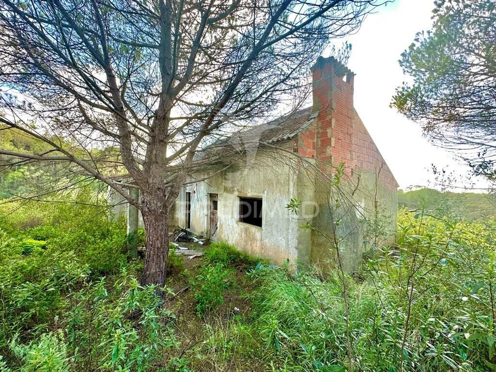 Land in Grandola e Santa Margarida da Serra, Setubal, Portugal 5 - 13565434