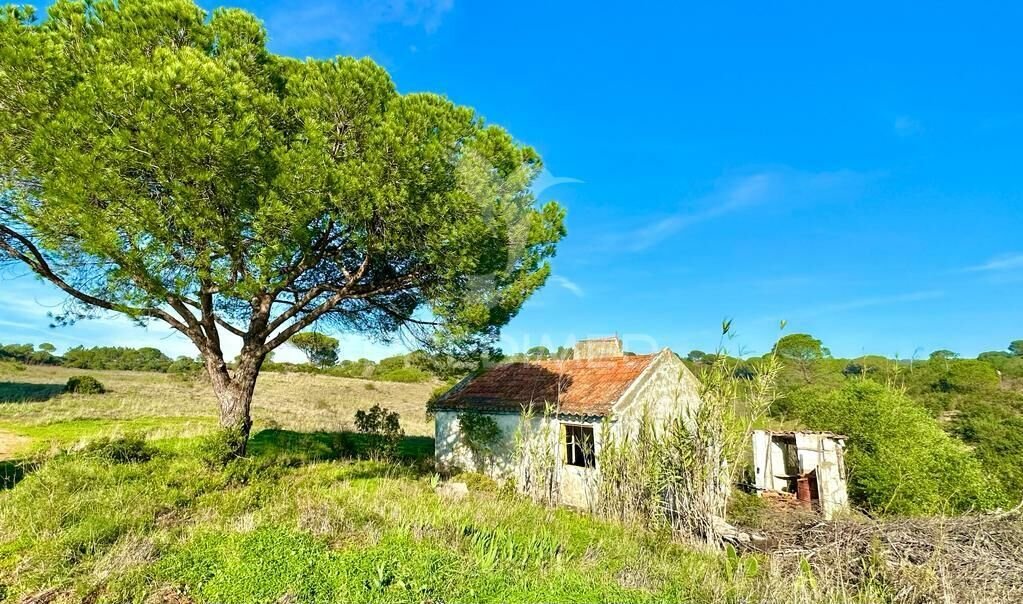 Land in Grandola e Santa Margarida da Serra, Setubal, Portugal 3 - 13565434