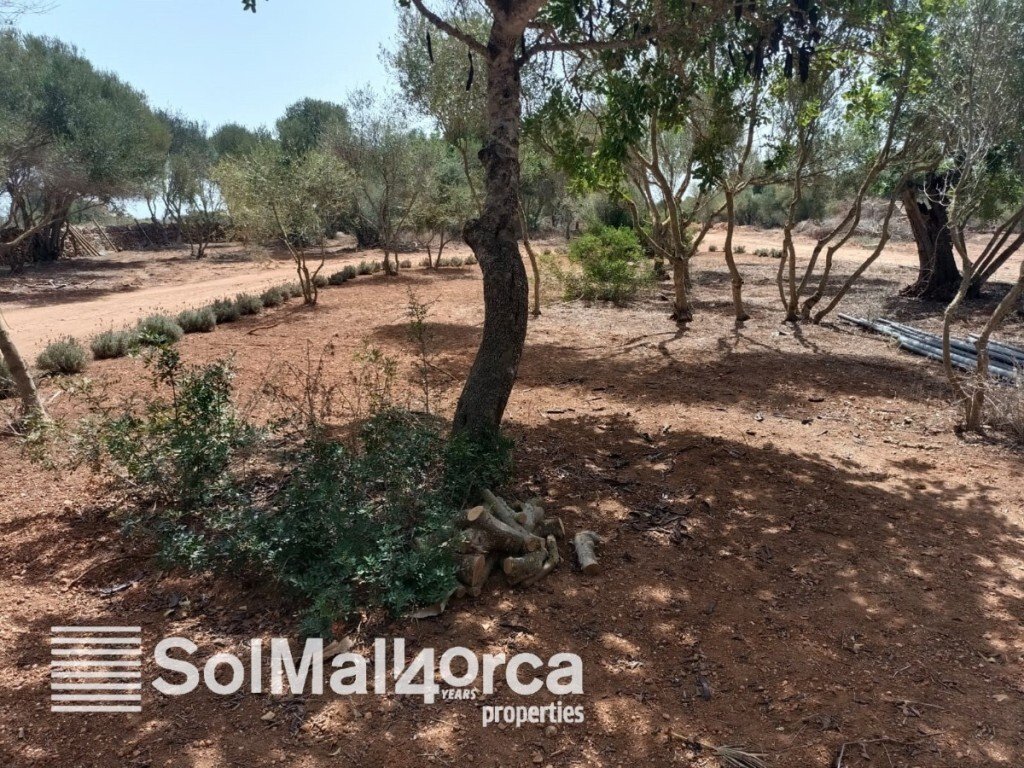 Finca in Santanyi, Balearic Islands, Spain 2 - 13578120