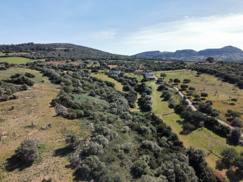 Finca in Sant Llorenc des Cardassar, Balearic Islands, Spain 5 - 13578102