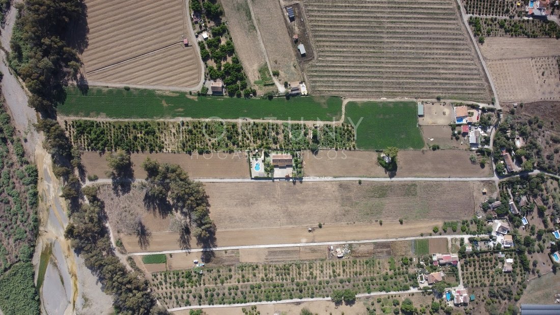 Farm Ranch in Coin, Andalusia, Spain 3 - 13580084