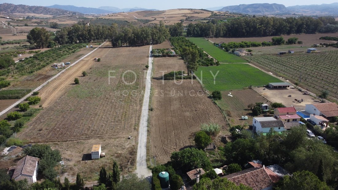 Farm Ranch in Coin, Andalusia, Spain 4 - 13580084