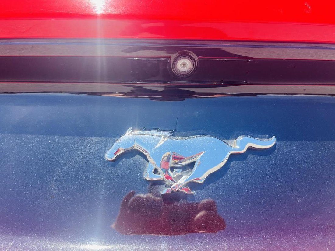 2015 Ford Mustang In Clarksville, Tn, United States For Sale (13583194)