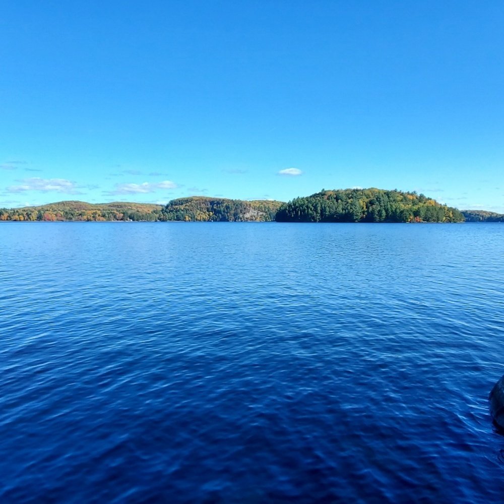 1902 Foxpoint Rd In Dwight, Ontario, Canada For Sale (13584562)