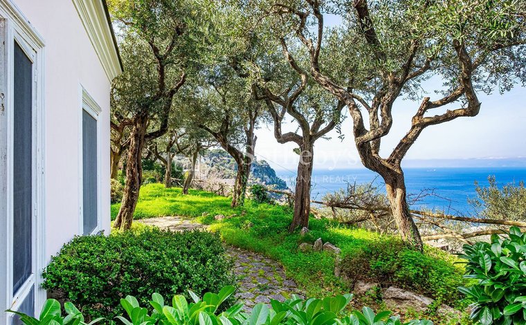 Villas for sale in Capri: a blend of history, glamor, and natural beauty -  IB International Real Estate