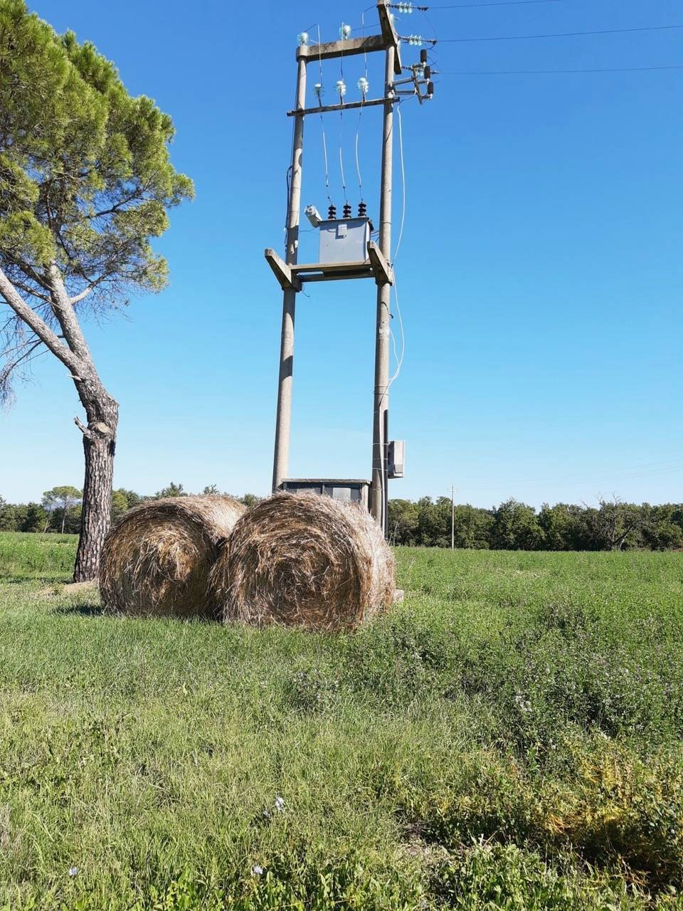 Farm Ranch in Castiglione del Lago, Umbria, Italy 2 - 13584846