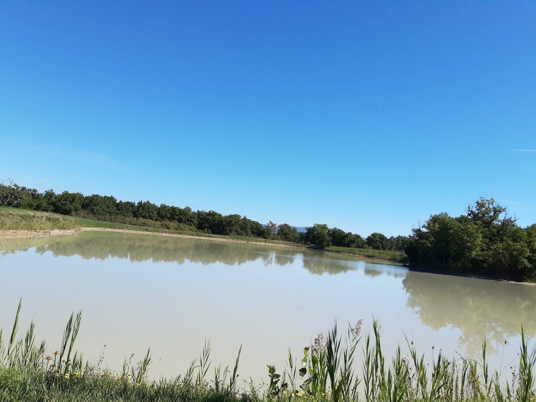 Farm Ranch in Castiglione del Lago, Umbria, Italy 4 - 13584846