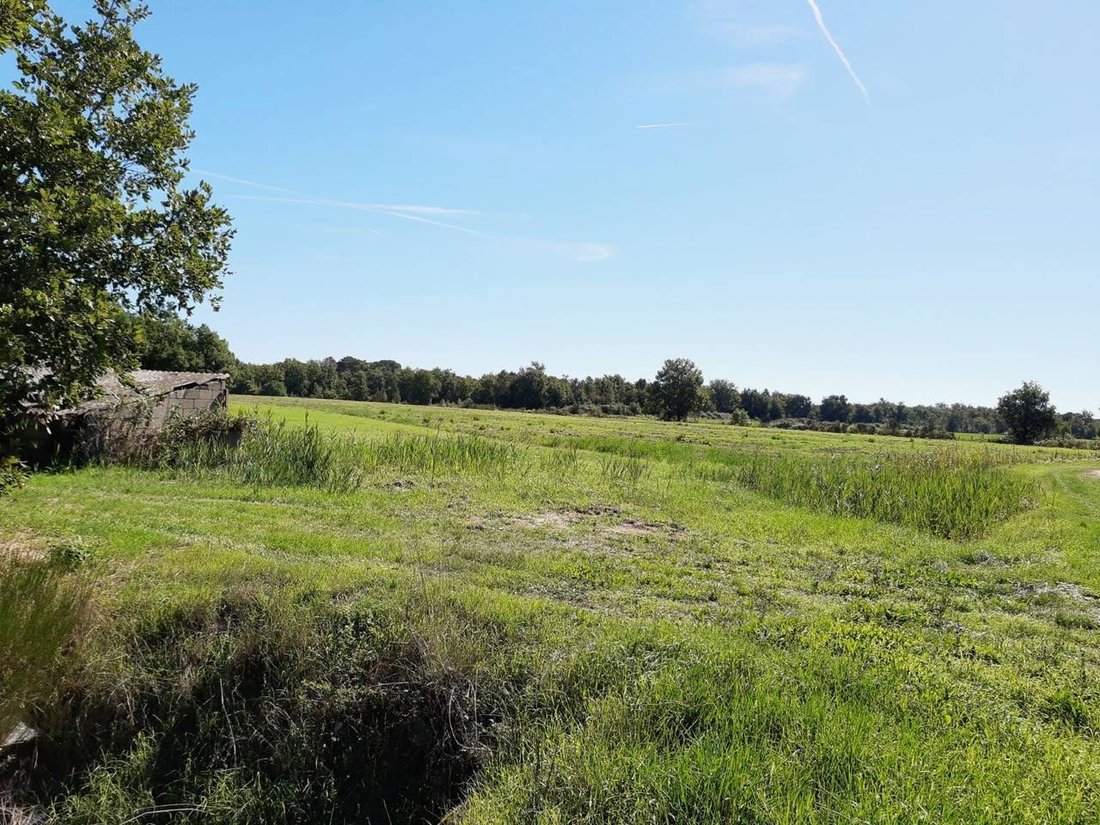 Farm Ranch in Castiglione del Lago, Umbria, Italy 3 - 13584846