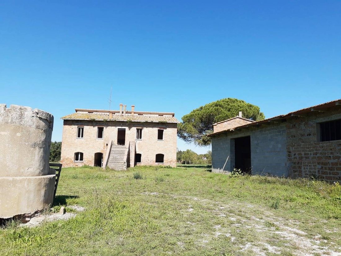 Farm Ranch in Castiglione del Lago, Umbria, Italy 1 - 13584846
