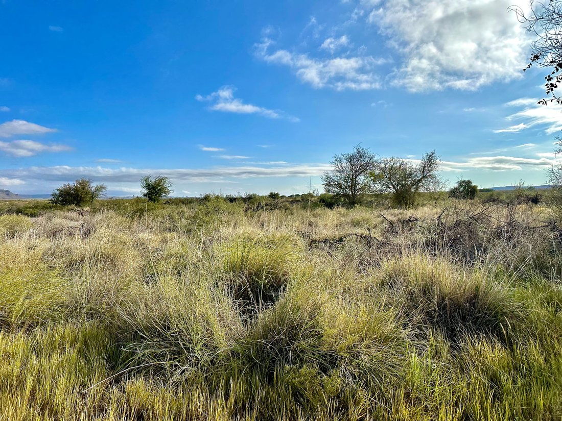 Alamito Overlook, Ranch Road 169, Marfa, Tx In Marfa, Texas, United