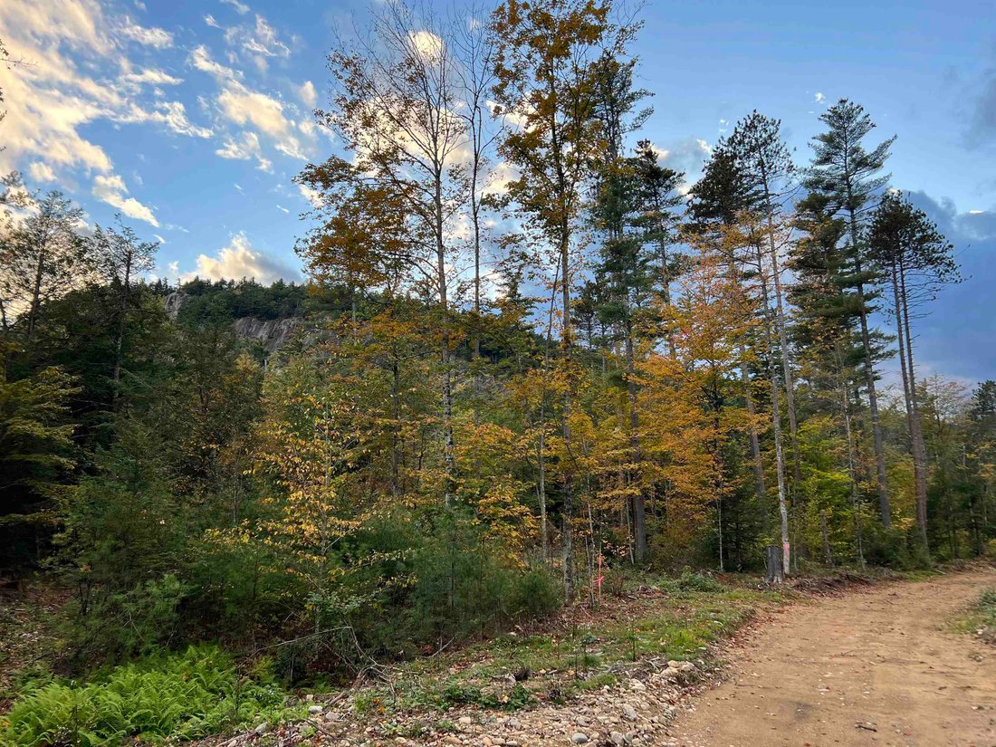 Modern Farmhouse With Cathedral Ledge In Bartlett, New Hampshire
