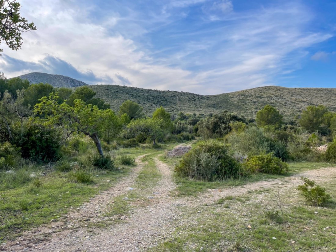 Land in Capdepera, Balearic Islands, Spain 4 - 13594135