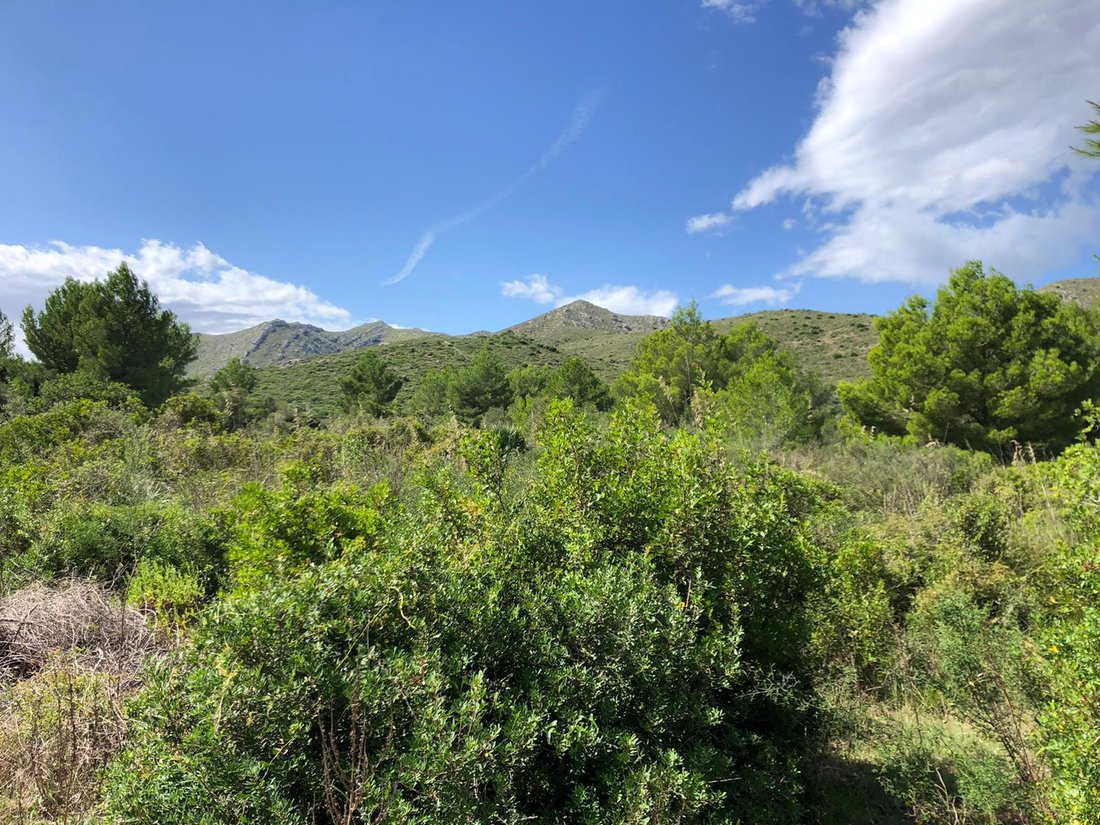 Land in Capdepera, Balearic Islands, Spain 1 - 13594135