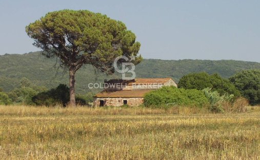 Terreno in Toscana, Italia 1