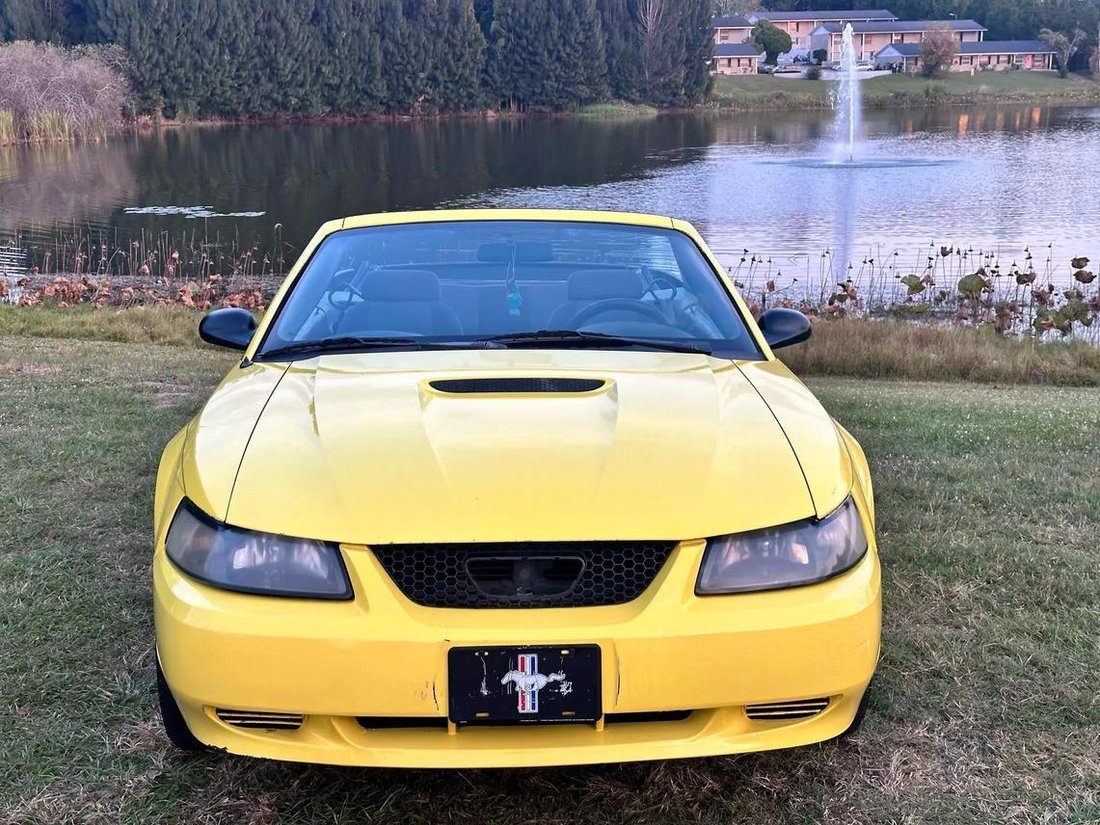 2001 Ford Mustang In Haines City, Fl, United States For Sale (13601276)