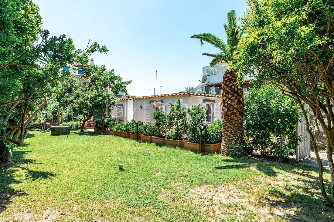 House in Forio, Campania, Italy 3 - 13579696