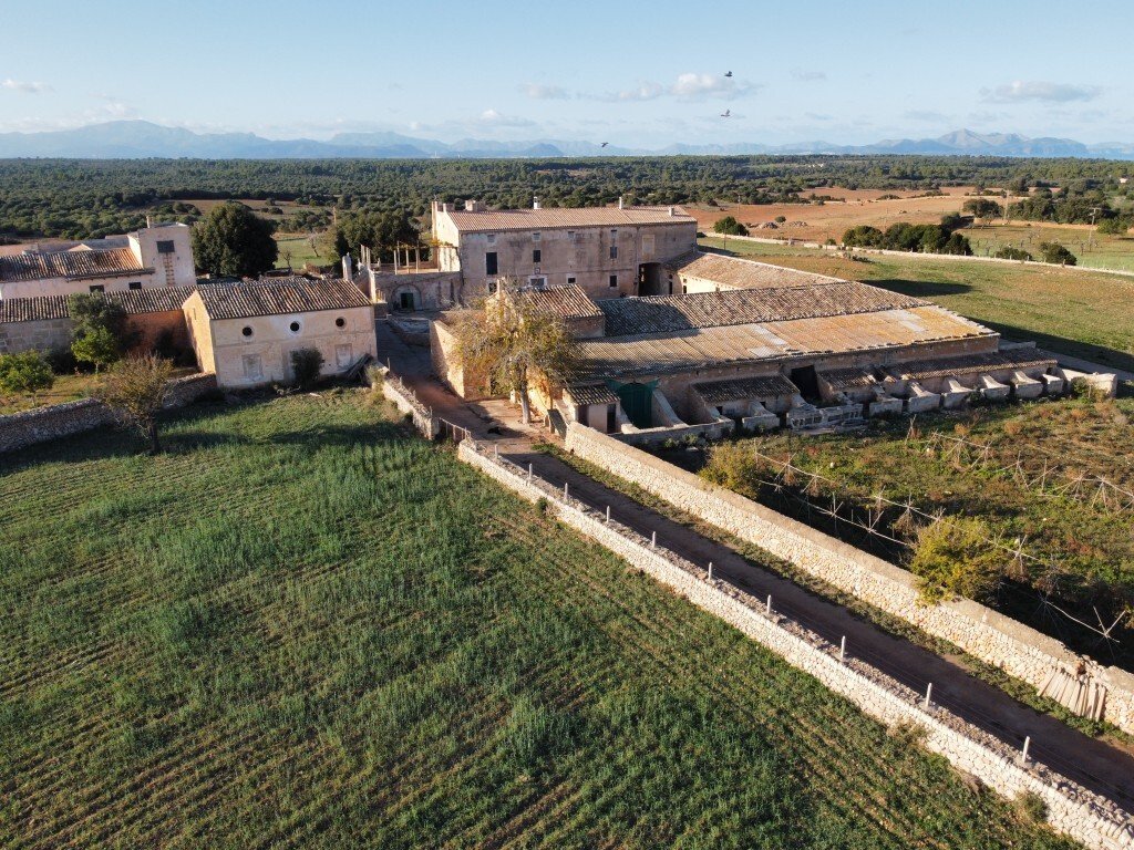 Finca in Son Serra de Marina, Santa Margalida, Balearic Islands 5 - 13602676