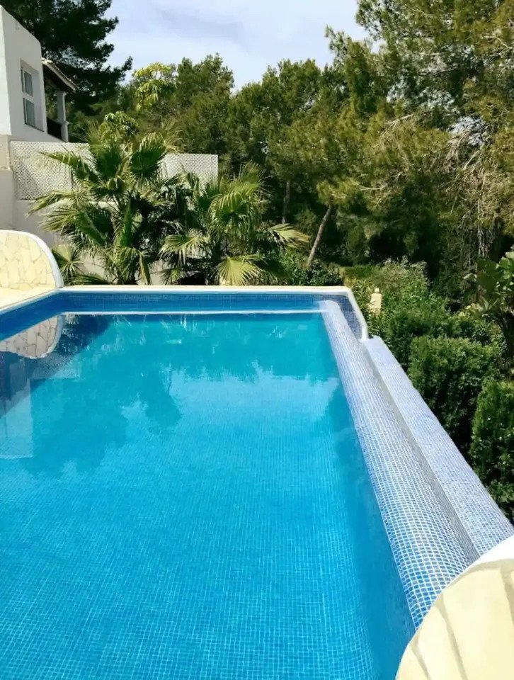 Villa in Sant Josep de sa Talaia, Balearic Islands, Spain 4 - 12314790