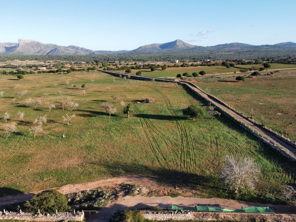 Finca in Son Serra de Marina, Santa Margalida, Balearic Islands 3 - 13602676