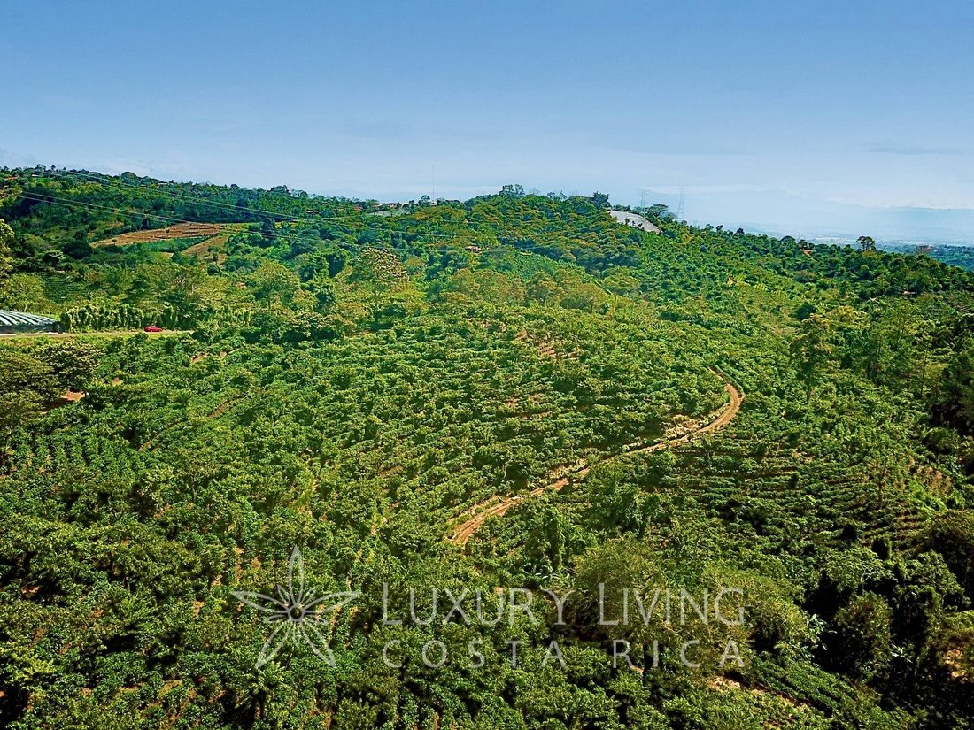 Land in Naranjo de Alajuela, Alajuela Province, Costa Rica 5 - 13607515