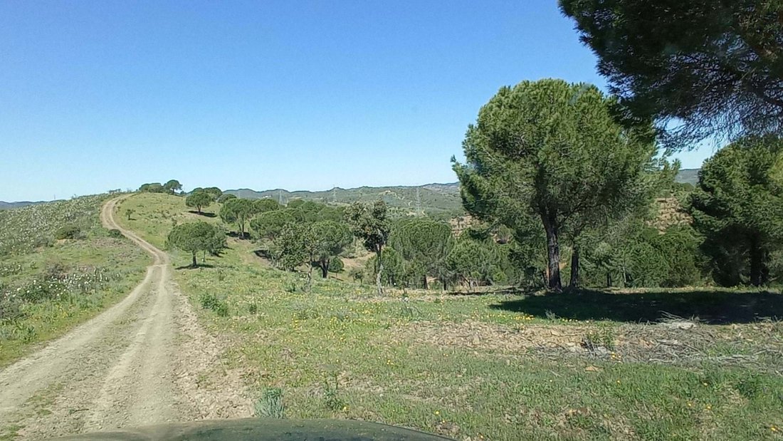 Farm Ranch in Sao Bartolomeu de Messines, Algarve, Portugal 5 - 11765912