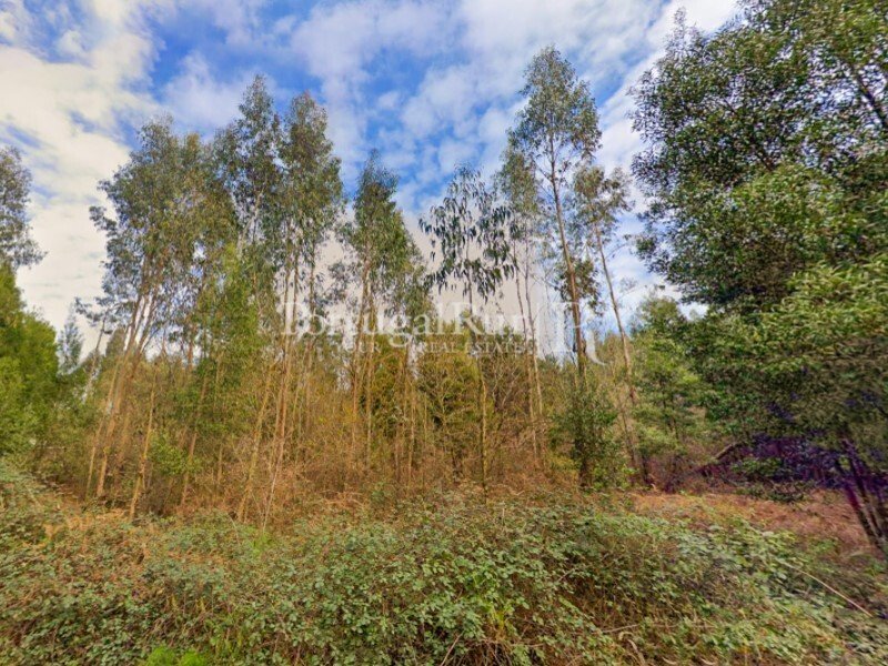 Land for sale in Maia, Portugal — €2,200,000