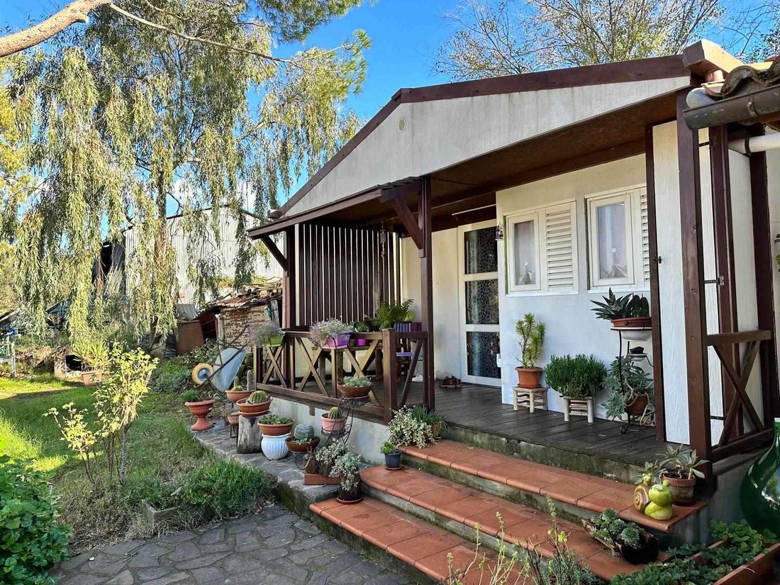 Andere in Roccastrada, Toskana, Italien 5 - 13608644
